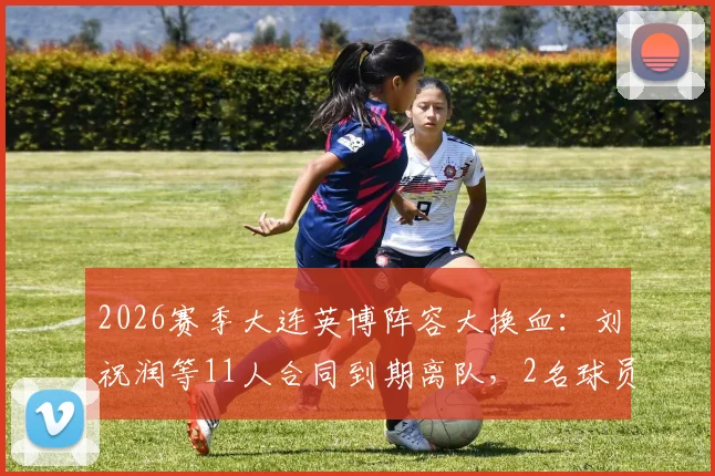 2026赛季大连英博阵容大换血:刘祝润等11人合同到期离队,2名球员租借,最新一线队名单解析