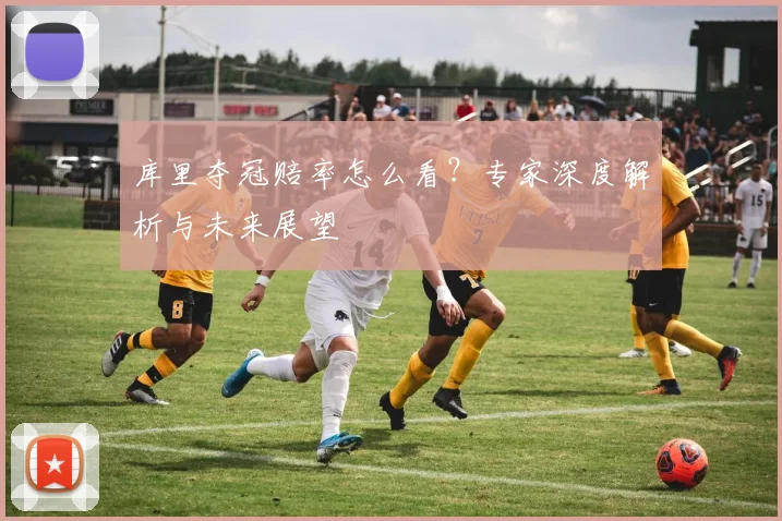 库里夺冠赔率怎么看？专家深度解析与未来展望